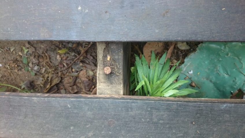 Wooden Decks Balau vs CCA Treated Substructure 3